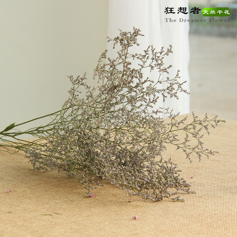 Rhapsody nuevo producto Clase A Lover Grass 100g Mori Natural Dry Flower Real Flower Decoración del hogar Fábrica de Yunnan al por mayor