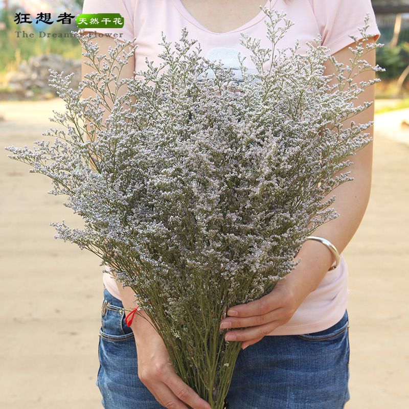 Rhapsody nuevo producto Clase A Lover Grass 100g Mori Natural Dry Flower Real Flower Decoración del hogar Fábrica de Yunnan al por mayor