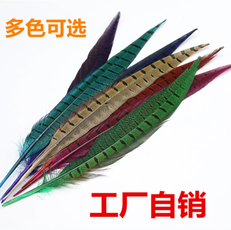 [Premium quality DIY public jiaohu? feather]