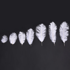 Ostrich Feather Large Feather Wedding Stage Performance Decorative Accessories Fabric Accessories Manufacturer Wholesale