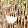 Sling pot PP plastic hanging basket flower pot suspension wall -mounted green pellet loaded multi -meat basin manufacturer wholesale with hanging chain