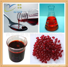 番茄红素油 6%  番茄提萃取 油状液体     量大从优