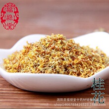 批发供应 新货无硫桂花茶/桂花干  散装花草茶