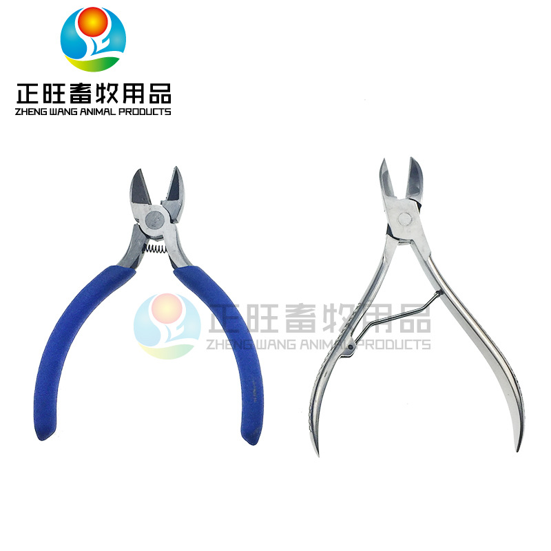 tijeras de dientes de acero inoxidable para cerdos equipos de cría de cerdos granja de cerdos tijeras de dientes de cerdos
