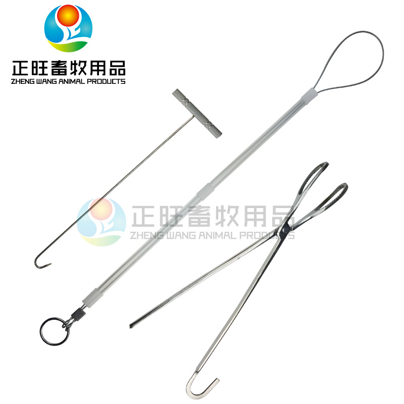 Cordas de partería para cerdos equipos de crianza de cerdos veterinarios clip de partería para cerdos ganchos de partería pinzas de partería para cerdos