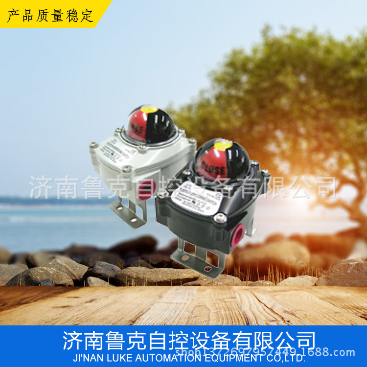 销售限位开关  ITS-100 ITS-300