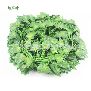 �羳������ɽ���ٗl�������������~��픹ܵ��b����ϼٻ��S�����l