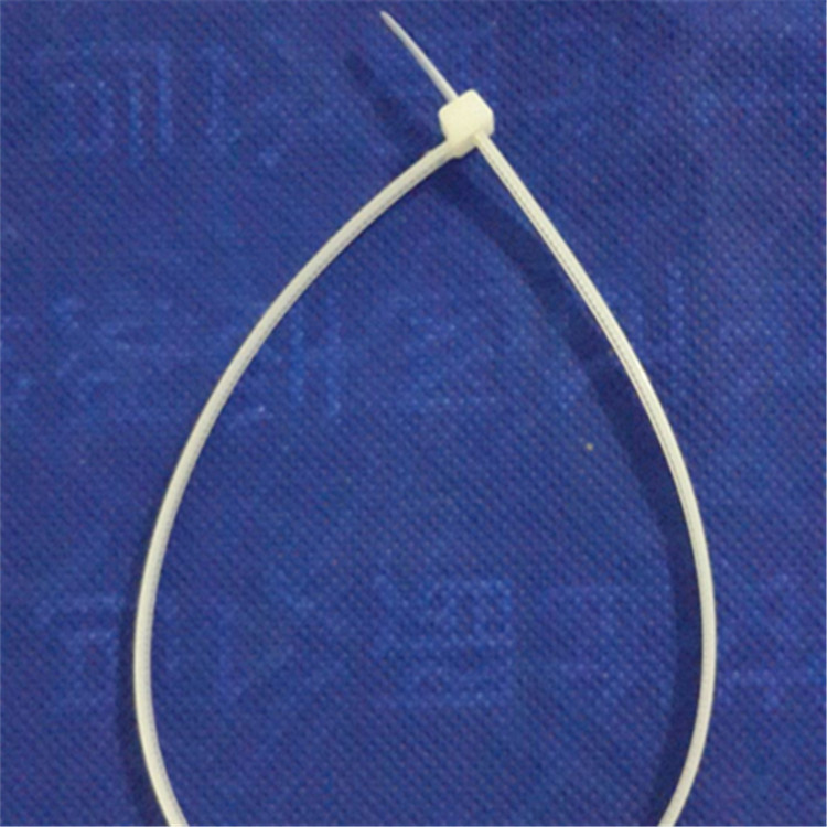 尼龙扎带扣，印字扎带_调节扎带_防伪扎带_不锈钢扎带_嵌钢片扎带