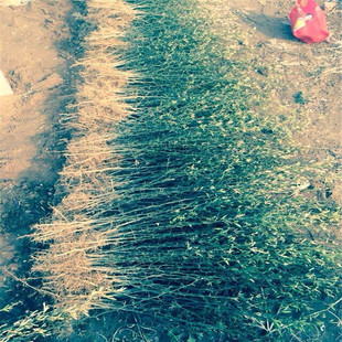 ���@�h������������ ������޽���ռľ �ך�����������