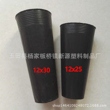 �Ӻ�I�B�����l������������12X25���٠I�B�����籭