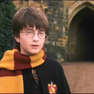 Шарф Гарри Серия Port Graphino College Scarf Slytherin Raven Ravellyhic Pacch