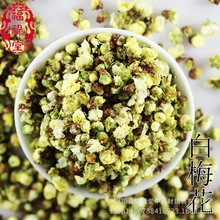 新货上市 白梅花 绿萼梅 绿梅花   花草茶批发
