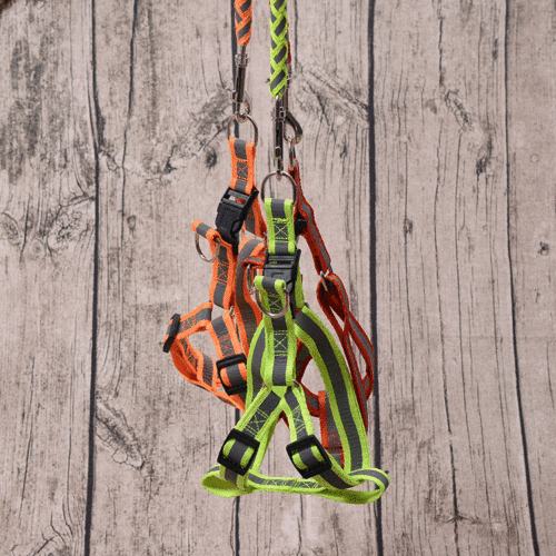 Manufacturer Direct Sale Teddy Pomsky Poodle Labrador Reflective Dog Collar Leash Pet Harness Chest and Back Strap