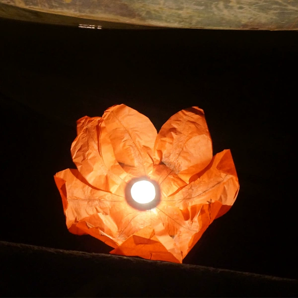 Lotus lamp