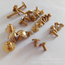 ��������ִ�һ���~�ݽz��Ģ���^���������܇����������܇����