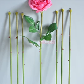 仿真绿植;仿真藤条;塑料工艺品