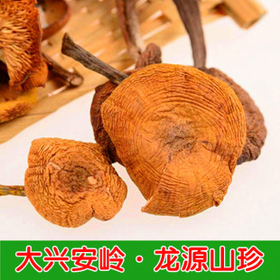 �|���خa Ұ���Ģ��؛�o���Ģ��ʳ�þ����d���X�خaҰ����