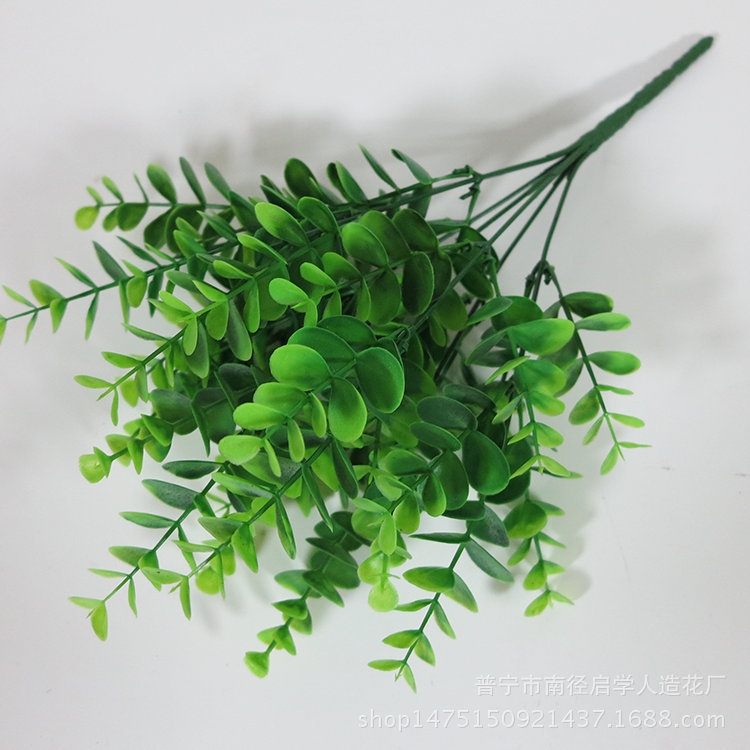 Wholesale 7 fork eucalyptus flower simulation money leaf plastic fake flower plant wall wedding gardening decoration large eucalyptus Wholesale 7 fork eucalyptus flower simulation money leaf plastic fake flower plant wall wedding gardening decoration large eucalyptus