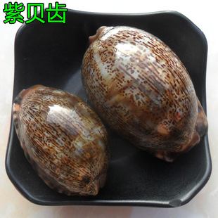 ��ș�����l ��ؐ�X ��ؐ ��ؐ ��ؐ�� �������X ��֧�� ����ă�