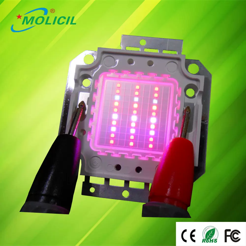 热销爆款 植物灯灯珠30W集成植物生长灯光源 红蓝配比5:1