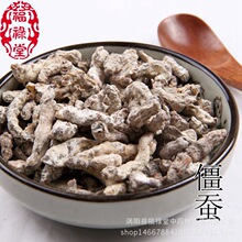 供 散装僵蚕 白僵蚕 炒僵蚕量大从优