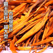 2025�������� �Ř��� �P�c�ؼ���t�� ���� ������ ɢ��