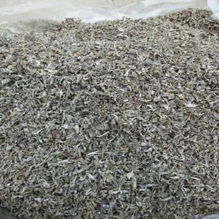 ���~ݮ��Ұ���ٲ�o���oĭ�ֹ��B�����ò�