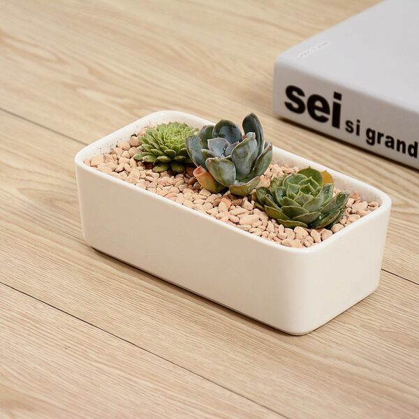 Ceramic creative rectangular flowerpot