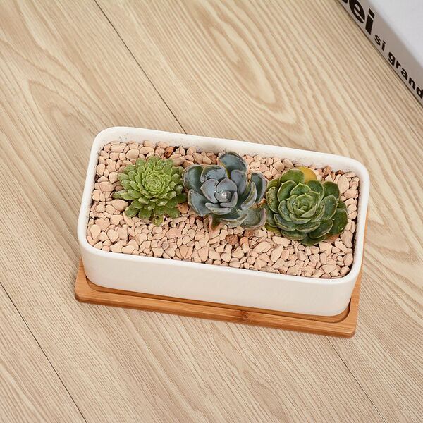 Ceramic creative rectangular flowerpot