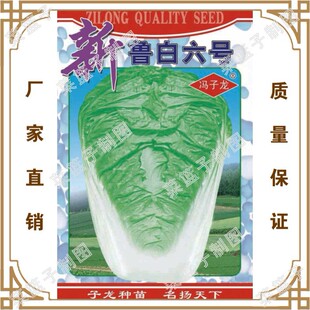 �߲˷N�� ��������̖ �����̨������ش���ͥԺ�ļ��Nֲ