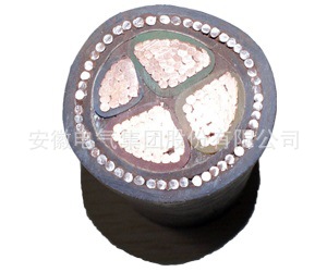 ҹӦZRYJV42 װͭ  ȼ