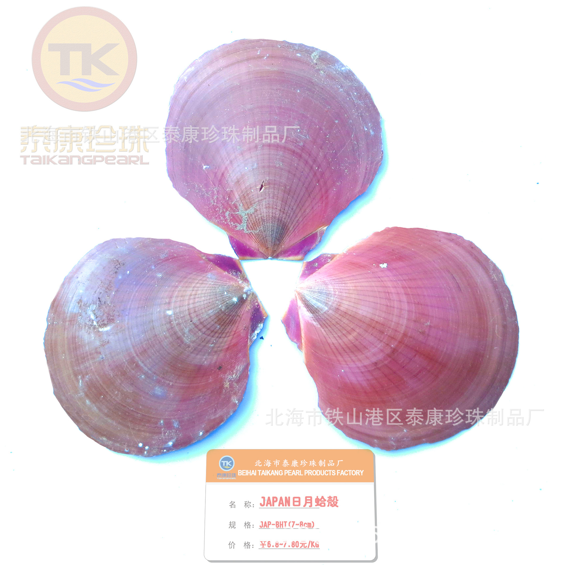 JAP_±_seashell%Ʒ_¸ _ȱԭ (6.5~8cm)