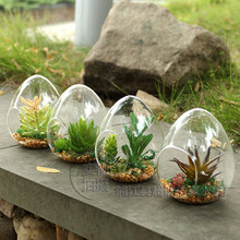 透明玻璃微景观蛋形玻璃盆栽仿真多肉 创意DIY盆栽生态瓶子微景观