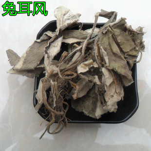 ���l������ș�� �ö��L  �ö��� ����һ֧�� ë��