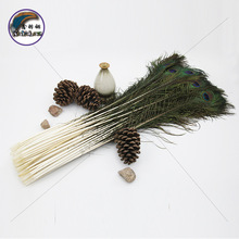 ��ȸë80-90cm��ȸ��ë���l�Ʒ����廨 ��Ȼ��ë�b�