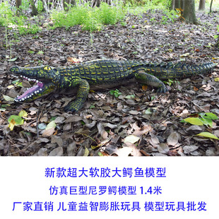 ���M���ʷǰ���{�������z����̖�{�~ģ����ߴ��{�~��ż�[�����l