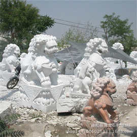 厂家汉白玉石雕狮子 大理石石狮子雕塑一对 门口动物摆件定制优惠