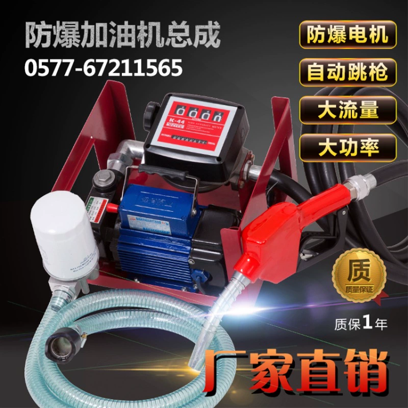 Производители поставляют Электрический масляный насос 220V взрывозащищенный Электрический масляный насос Электрический бензиновый насос электрический топливный насос
