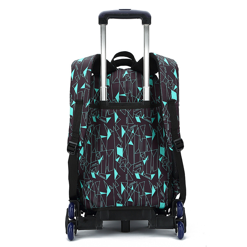 Mochila escolar de pescado natural 4-5-6-9 grado niños y niñas estudiantes de primaria caja tirada a mano tres ruedas escalada mochila infantil