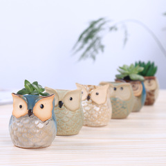 Foreign trade cross-border Japanese and Korean cartoon animal owl flower pots creative personalized home gardening succulent ceramic flower pots