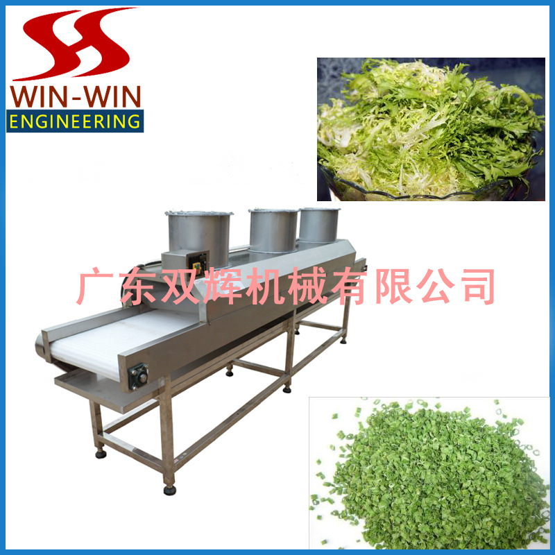 定金 DH-6/9 电动食品切碎机 商用食品破碎机工厂供应