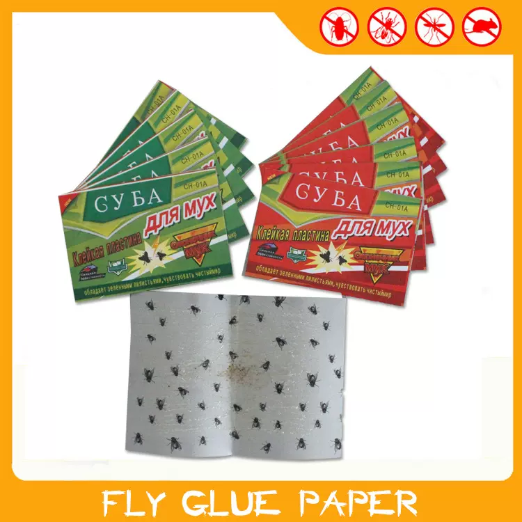 现货批发粘蝇贴 有效灭苍蝇贴纸 绿色健康家用引诱粘蝇纸促销
