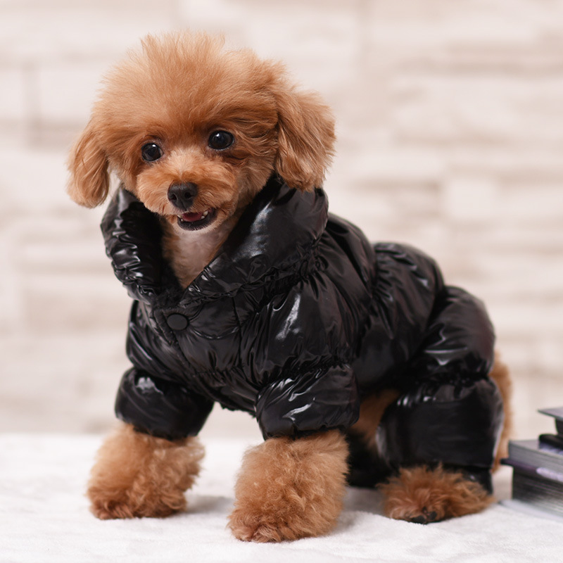 Fábrica transfronteriza al por mayor ropa para mascotas ropa de perrito ropa de invierno para perros ropa de otoño e invierno ropa para mascotas