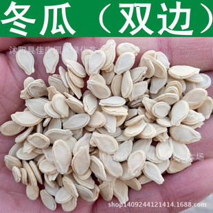 ���ϷN�� �|�� �׶��� ���ϷN�� ��߅������ �p߅������ 1��=1��