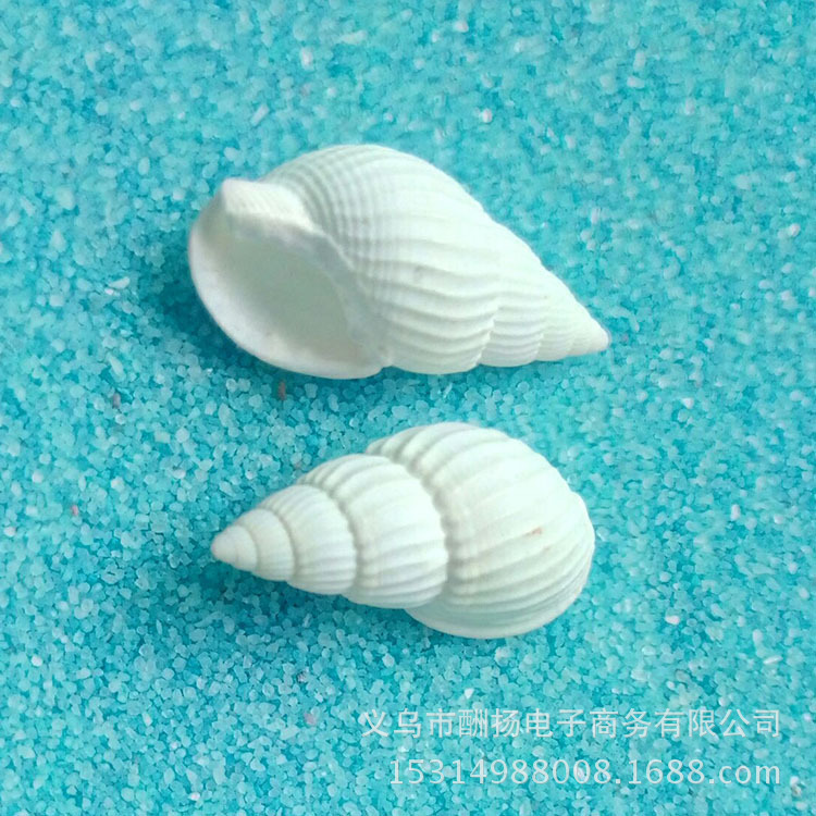 Shell Conch Small White Rice Snail 1- 2cm Handmade Material Micro Landscape Drift Bottle 1000 Pounds of Scenery