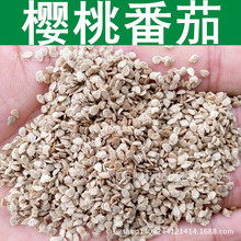 ҷѷN  Сt }Ů N 1=1