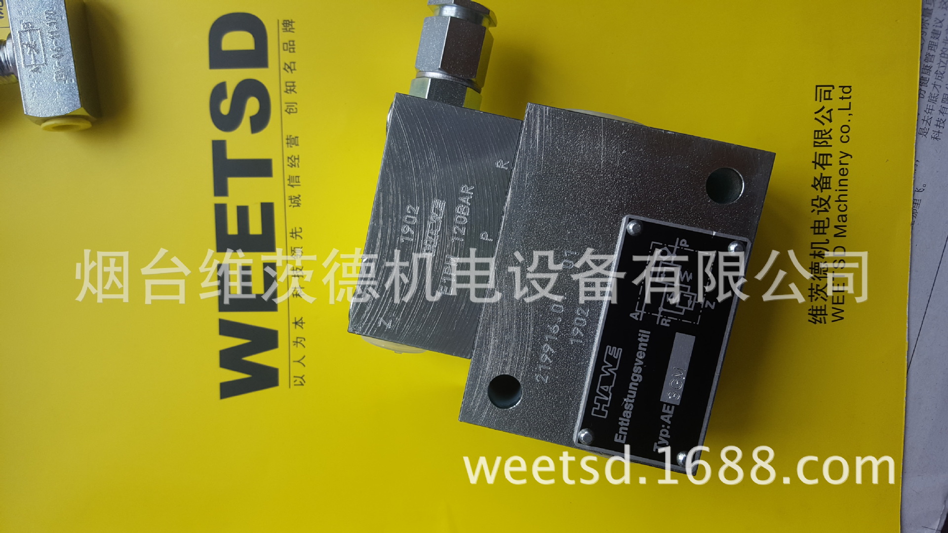 HAWE AE3GM+HAWE E1PM120BAR组合阀