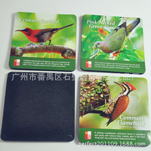 С�B�D���V�汭�| ��ĭ������������ڹⱭ�|�S��ֱ�N֧�ց�D��