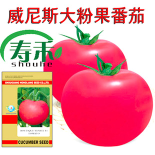 �ձ� ����˹F1���ѷN�� �߮a��ۼt�� ���������쾫Ʒ���t���N��