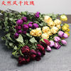 [Rose dried flowers] Wholesale dried flowers rose single -head rose air -dried rose box packaging material